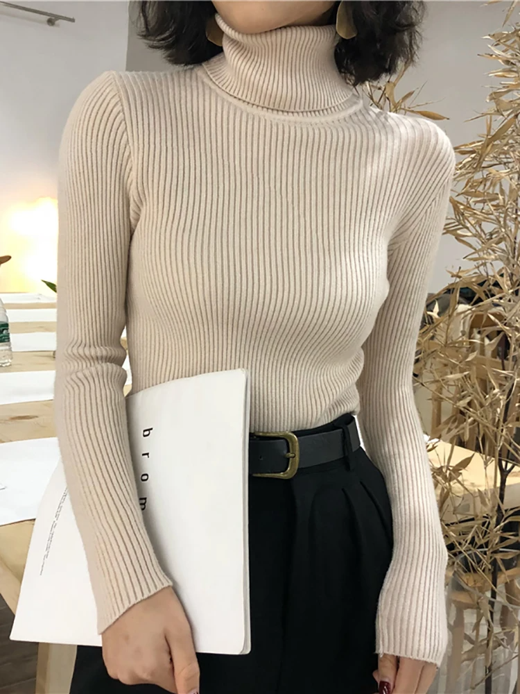 Ginevra Turtleneck Sweater