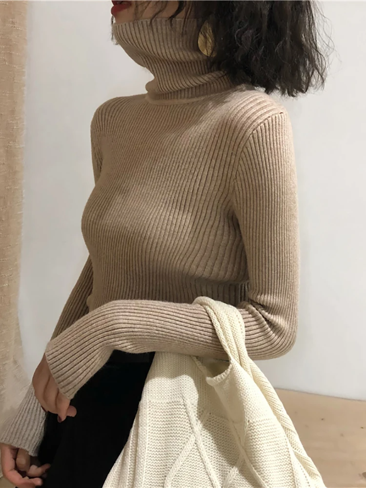 Ginevra Turtleneck Sweater