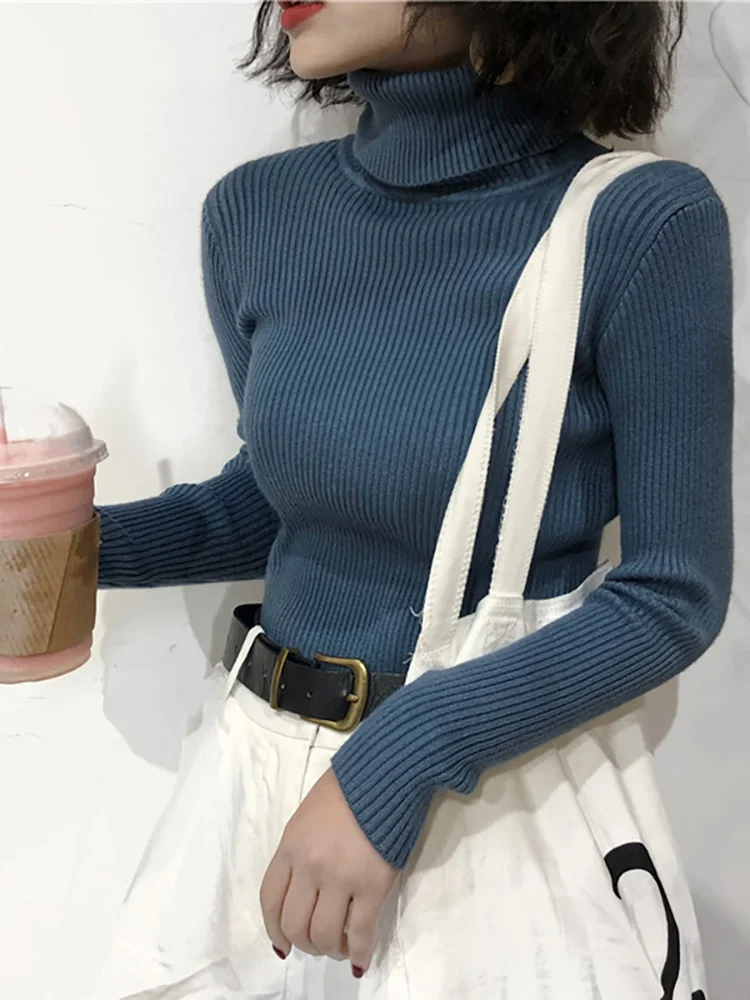 Ginevra Turtleneck Sweater