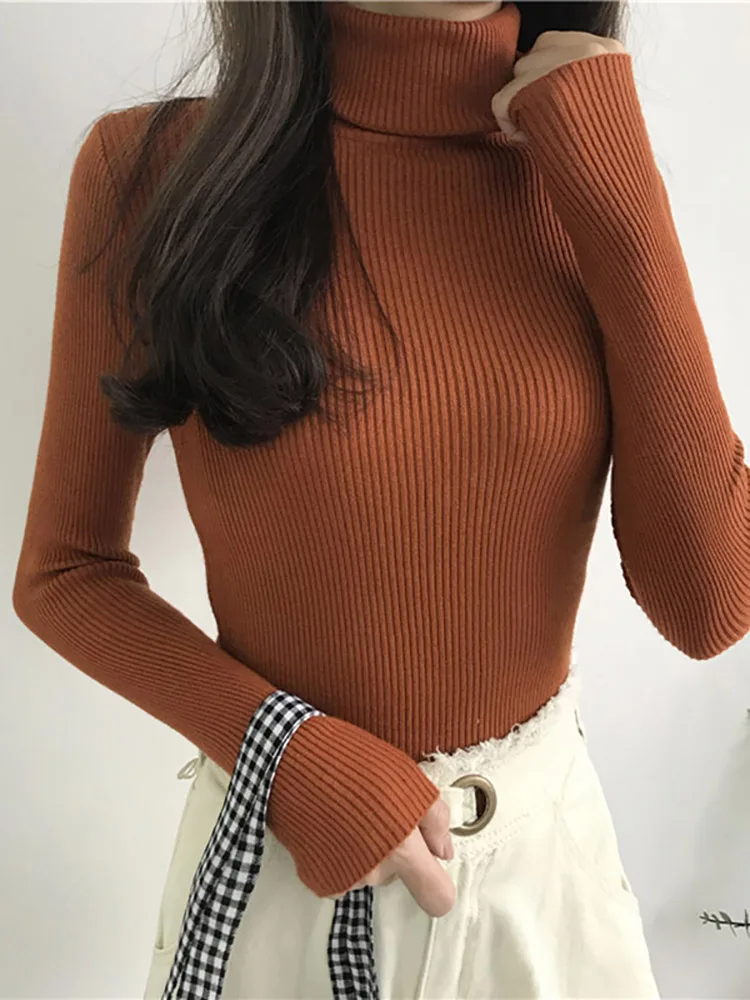 Ginevra Turtleneck Sweater