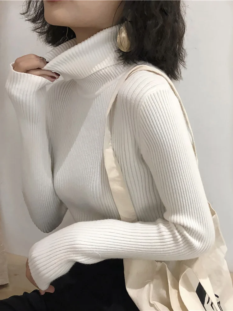 Ginevra Turtleneck Sweater